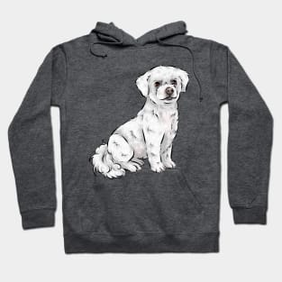 Cute Bichon Frise Dog Hoodie